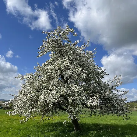 An Der Burg Biebertal