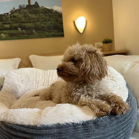 An Der Burg Hotel 3*