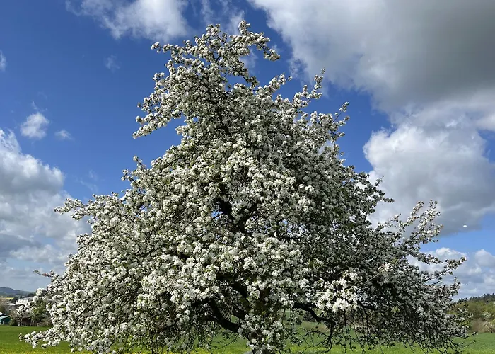 An Der Burg Biebertal