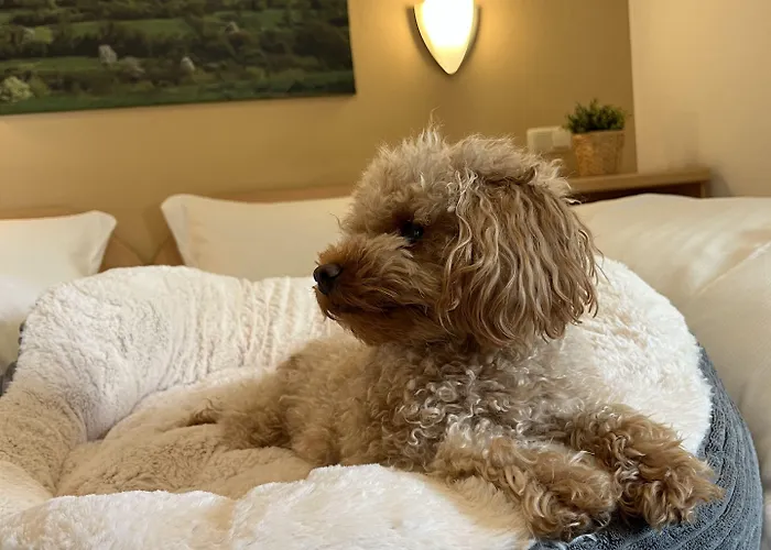 An Der Burg Hotel 3*