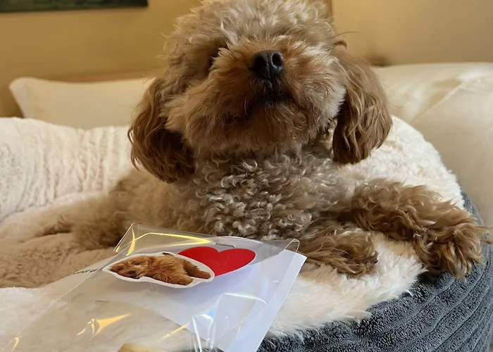 Hotel An Der Burg Biebertal